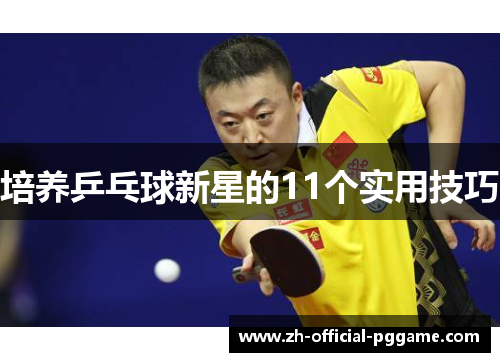 /uploads/images/20250712/pei-yang-ping-pang-qiu-xin-xing-de-11-ge-shi-yong-ji-qiao.webp