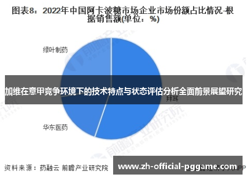 加维在意甲竞争环境下的技术特点与状态评估分析全面前景展望研究