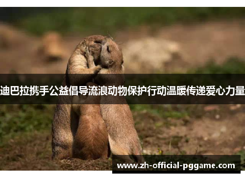 /uploads/images/20260511/di-ba-la-xie-shou-gong-yi-chang-dao-liu-lang-dong-wu-bao-hu-xing-dong-wen-nuan-chuan-di-ai-xin-li-liang.webp
